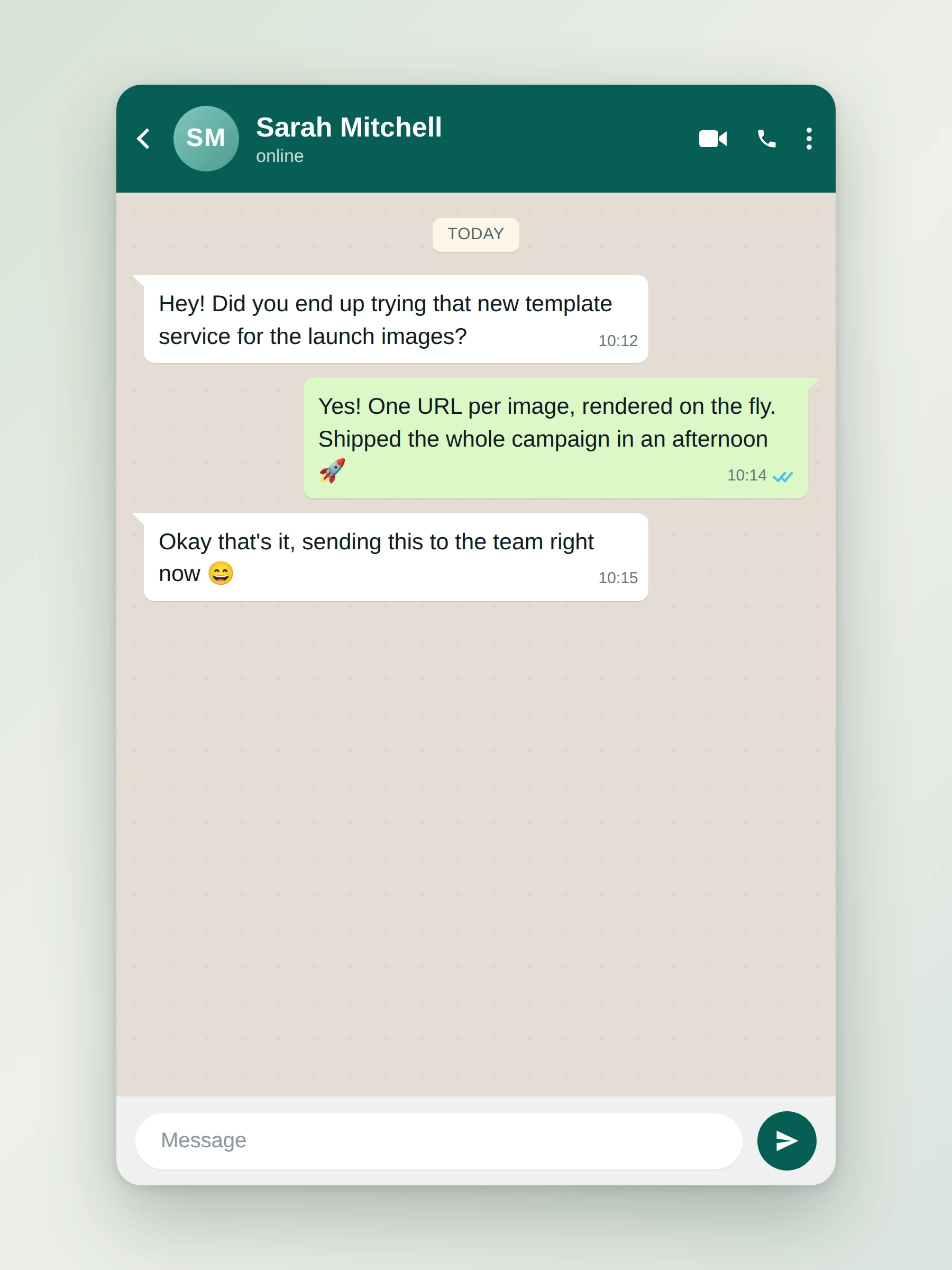 WhatsApp Chat Screenshot preview